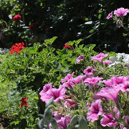 Διαμέρισμα 5443b *